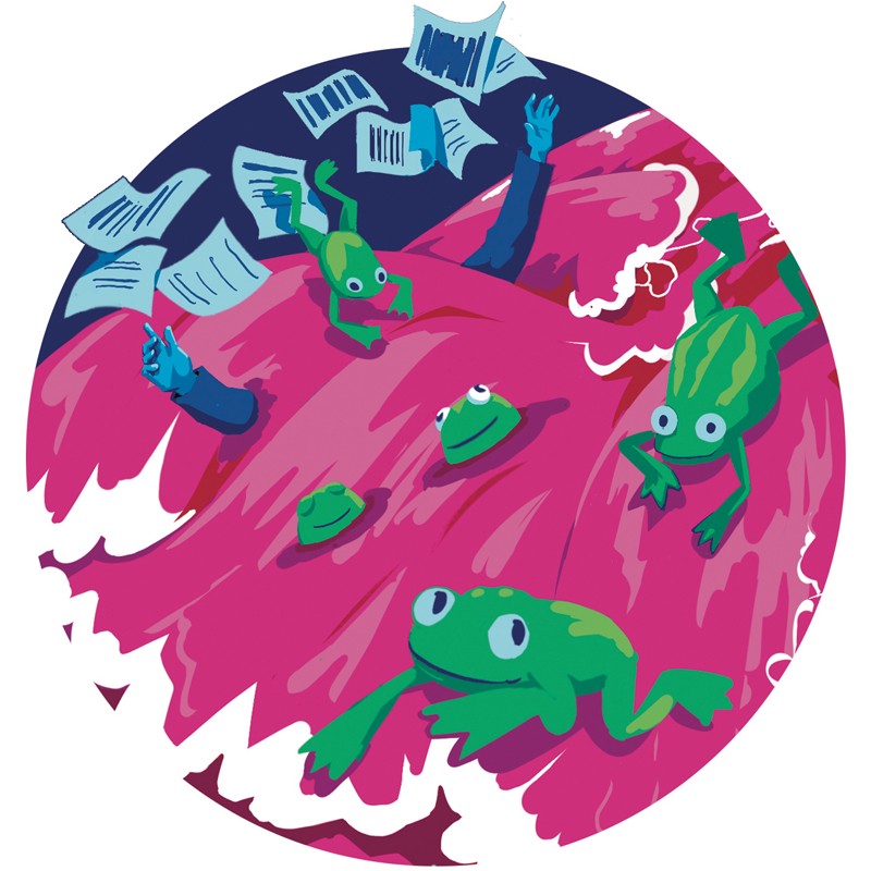 frogs floating in apocalyptic flood